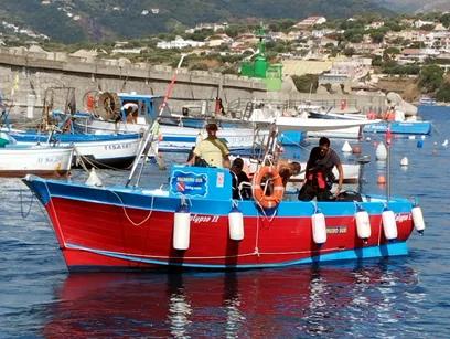 Dettaglio della Calypso II
