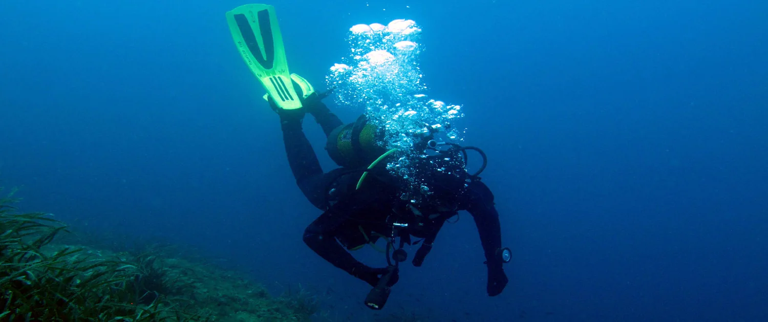 Il mare e le immersioni del Palinuro Sub