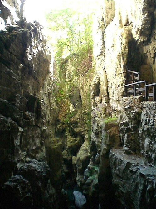 Morigerati