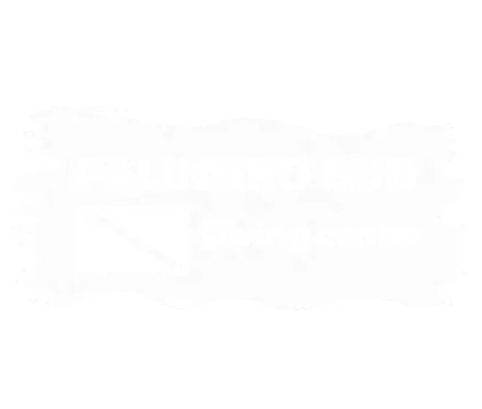 Palinuro Sub Diving Center