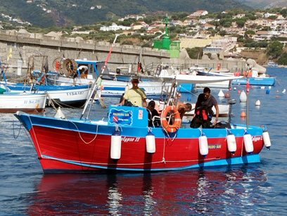 Calypso II — foto 6 della galleria della barca