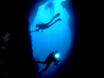 Immersioni nel sito Grotta Trombetta