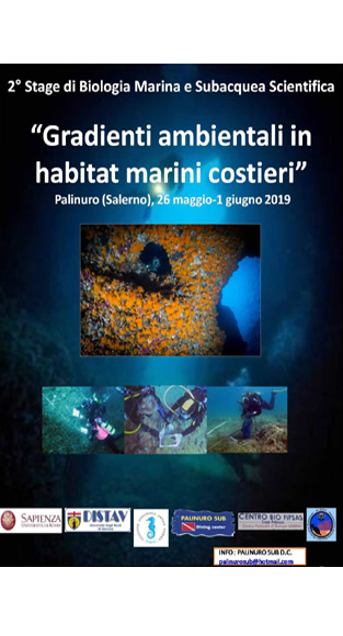 Locandina dello stage di biologia marina 2019