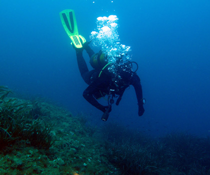 Palinuro Sub Galleria Fotografica