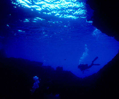 Palinuro Sub Galleria Fotografica