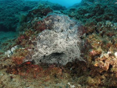 Immersioni nel sito Cattedrale