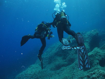 Immersioni nel sito Pan di Zucchero