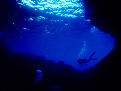 Immersioni nel sito Punta Mammone